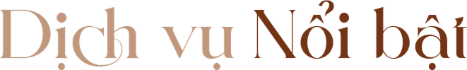 dịch vụ nổi bật